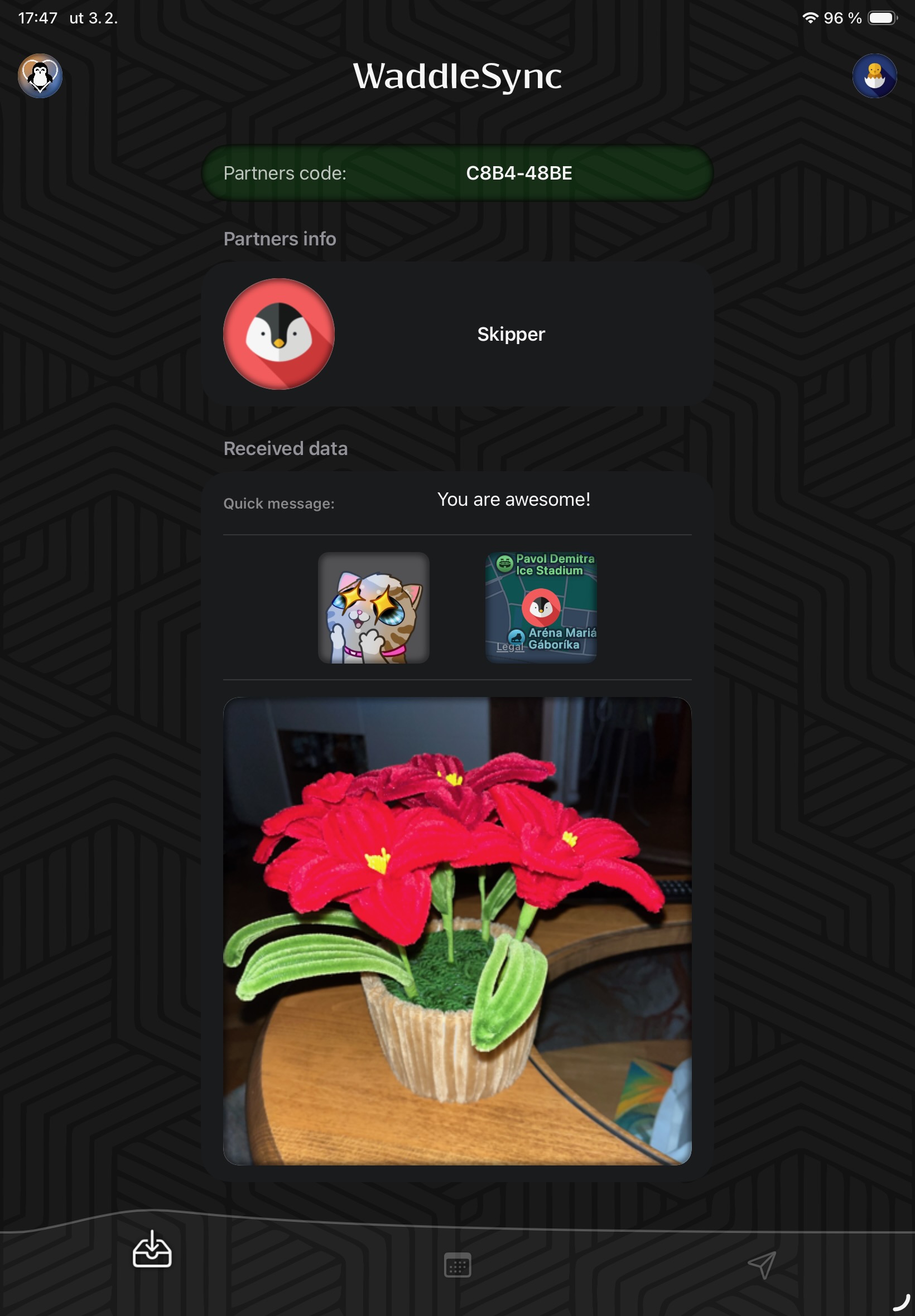 WaddleSync app screenshot showing received data page